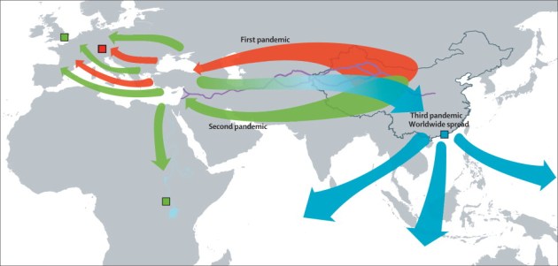 Yersinia pestis 3 onades PIIS1473309913703232.gr4.lrg