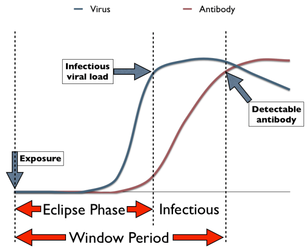 VIH eclipse and window phases