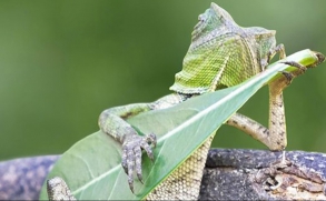 293x181-Source-bkqGgyaGrA