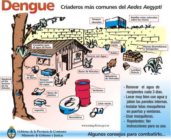 dengue criaderos en una casa