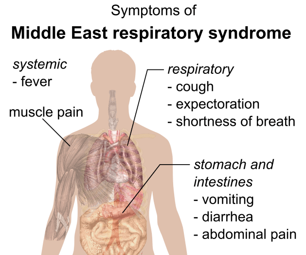 Symptoms_of_MERS_(raster)