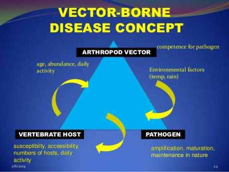 vector-borne-diseasesask-24-638
