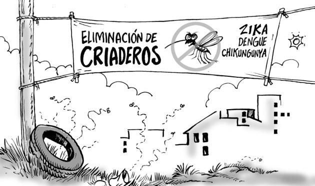 Criaderos Aedes 16_Opinión_01_1p01