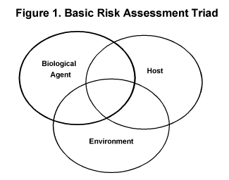 Risk assessment triad