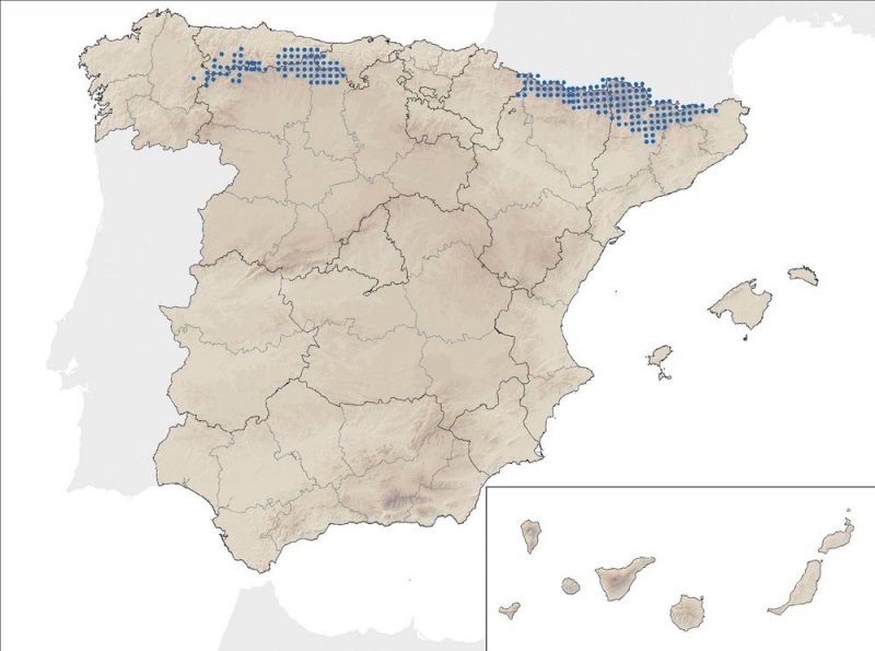rebecos distribución especies_63_1315257331